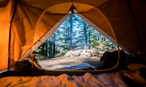 Your Guide To The Best Campgrounds Near Shoreline, WA Cover Image