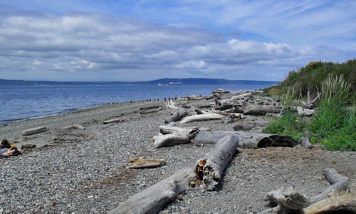 Catch the Current: Beaches You’ll Fall in Love With Near Shoreline, WA Cover Image