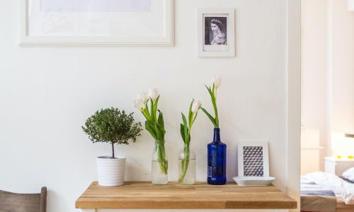 Springtime Refresh | Easy Ways to Bring Those Spring Vibes Inside Cover Image
